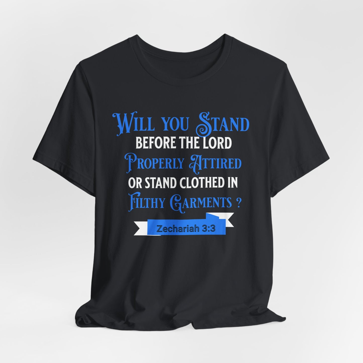 Will You Stand Before the Lord Properly Attired (Blue & White), Christian, Faith-Based, Repentance